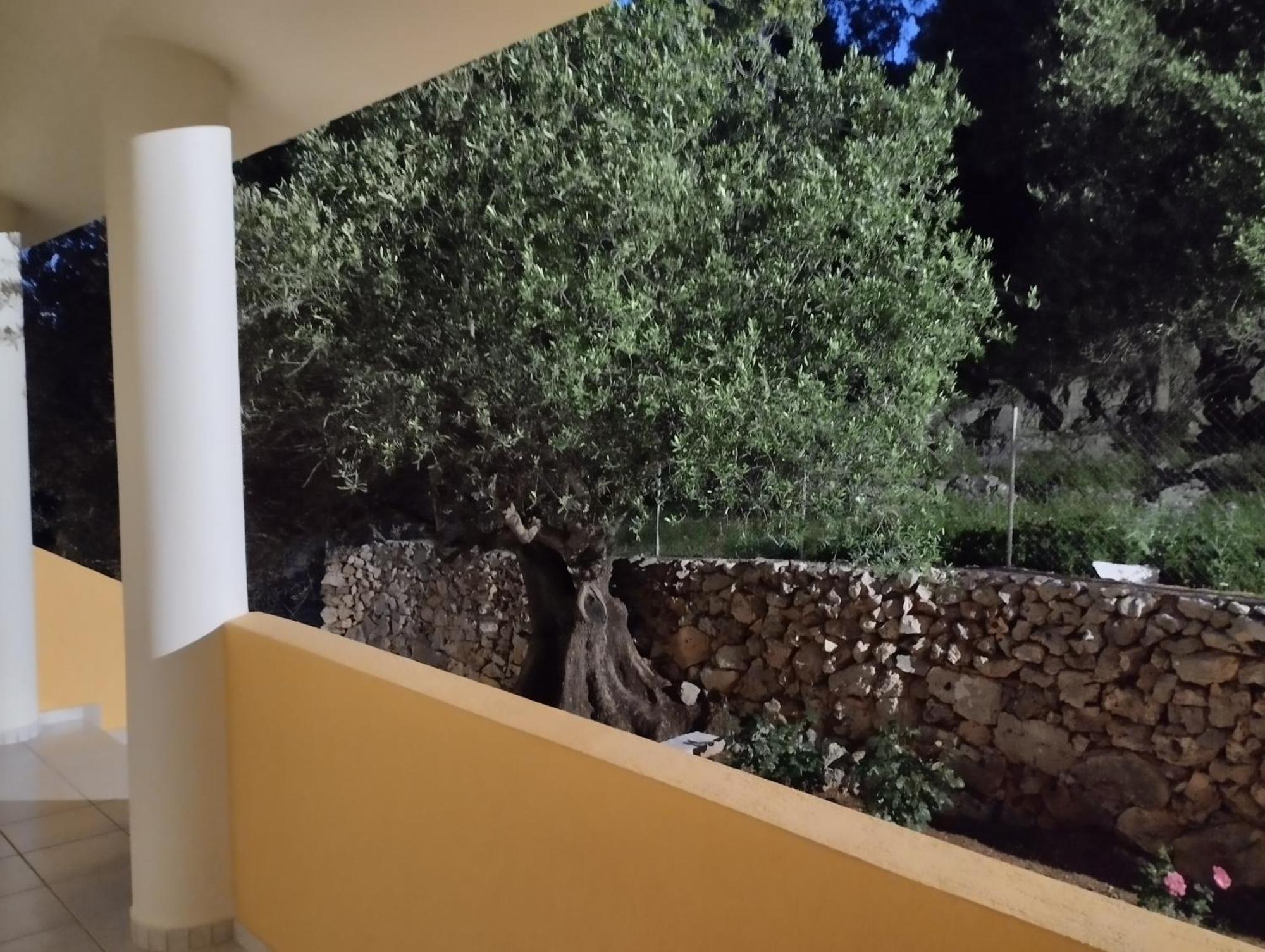 ארגוסטולי Asteras Studios מראה חיצוני תמונה